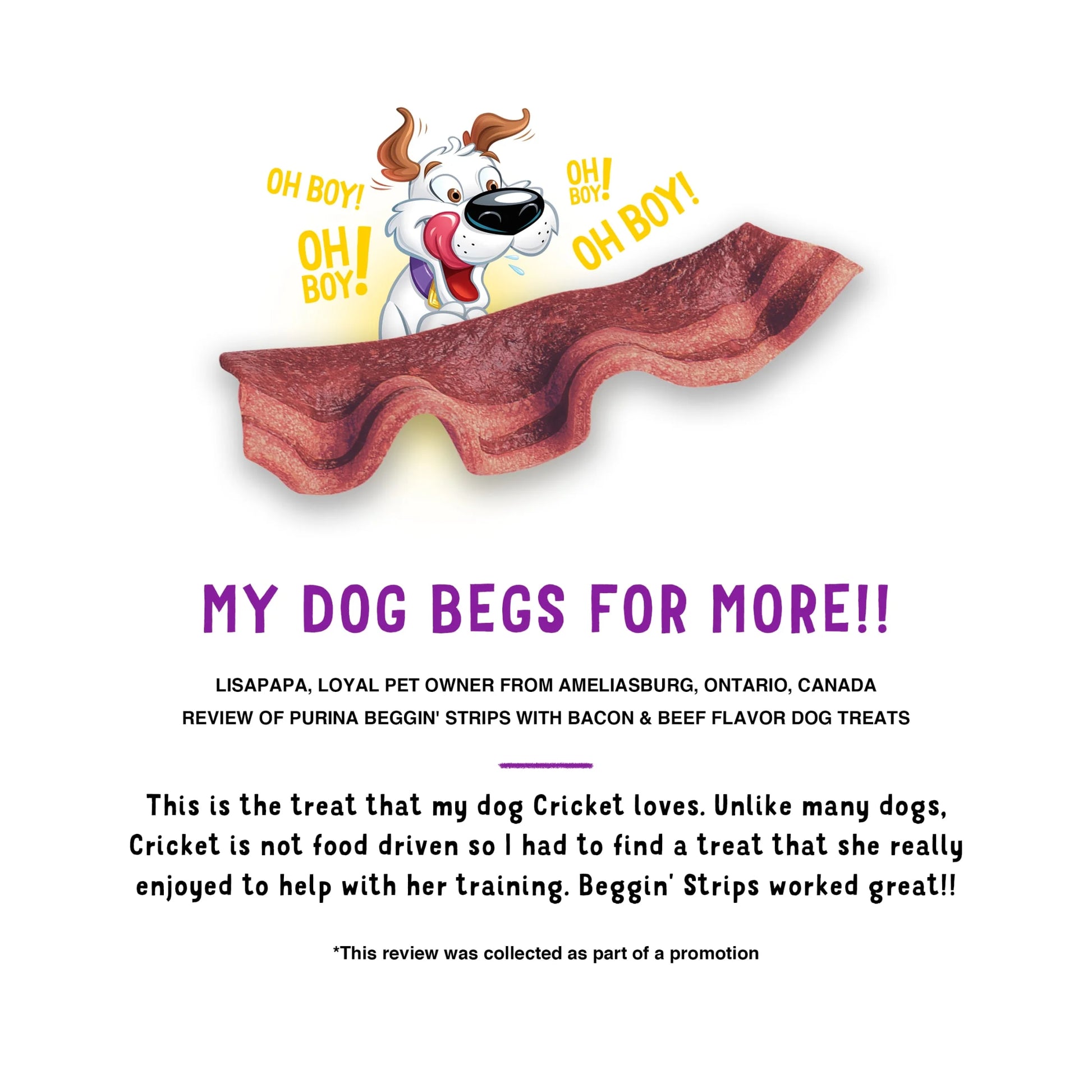 Purina  Strips Dog Treats with Real Bacon & Beef Flavors Tender Chews, 25 Oz Pouch