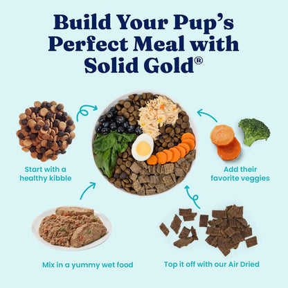 Solid Gold Weight Management Dog Food Wet - High Fiber Grain Free Dog Food Wet Recipe W/Real Chicken, Sweet Potato & Green Beans - Healthy Weight & Gut Health Support for Dogs - 6Ct/12.5Oz Cans