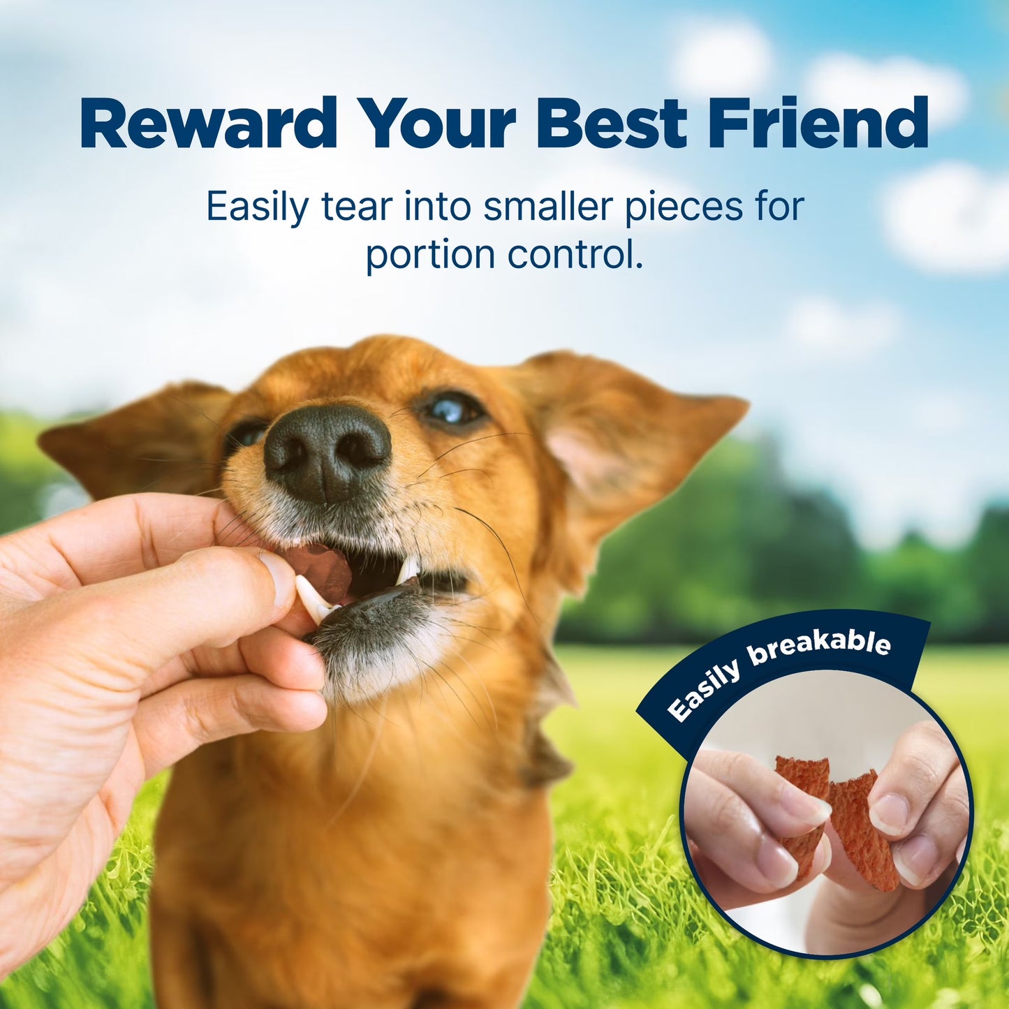 Nudges Tender Jerky Dog Treats, Chicken Recipe, 5-Oz. Bag