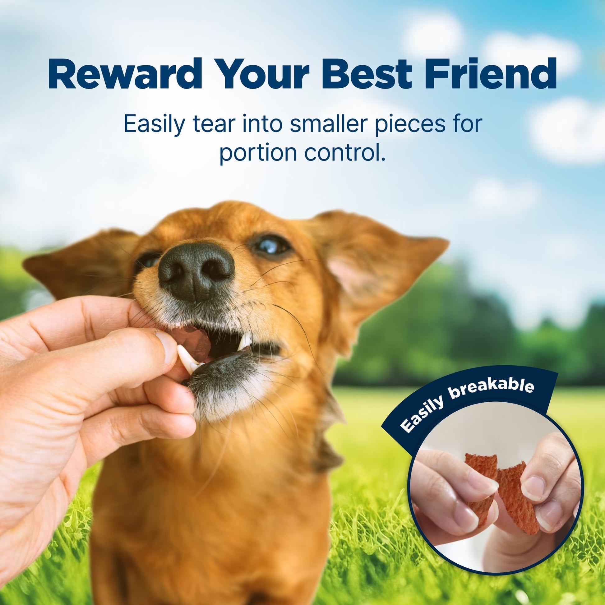 Nudges Tender Jerky Dog Treats, Chicken Recipe, 5-Oz. Bag